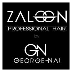 zaloon logo